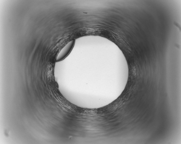 X0000100200914200806271638