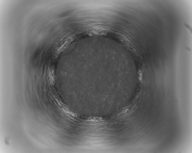 X0000100200915200806271638