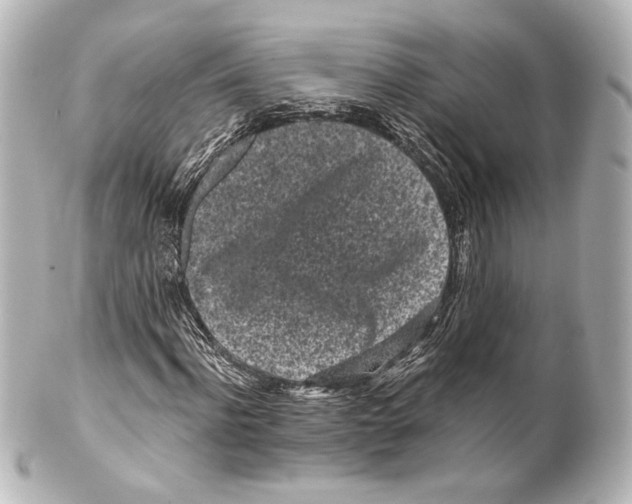 X0000100200916200806271638