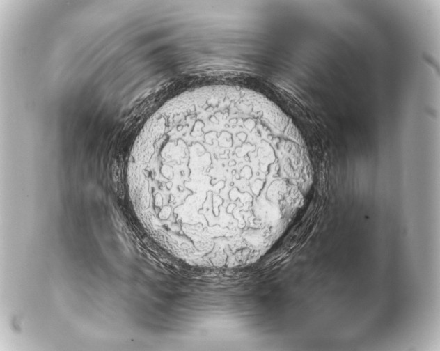 X0000100200917200806271638