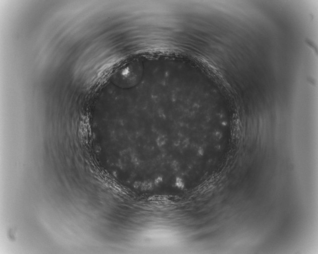 X0000100200918200806271638