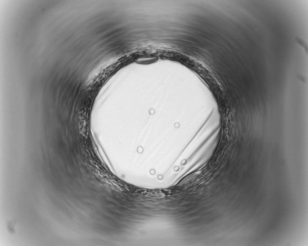 X0000100200919200806271638