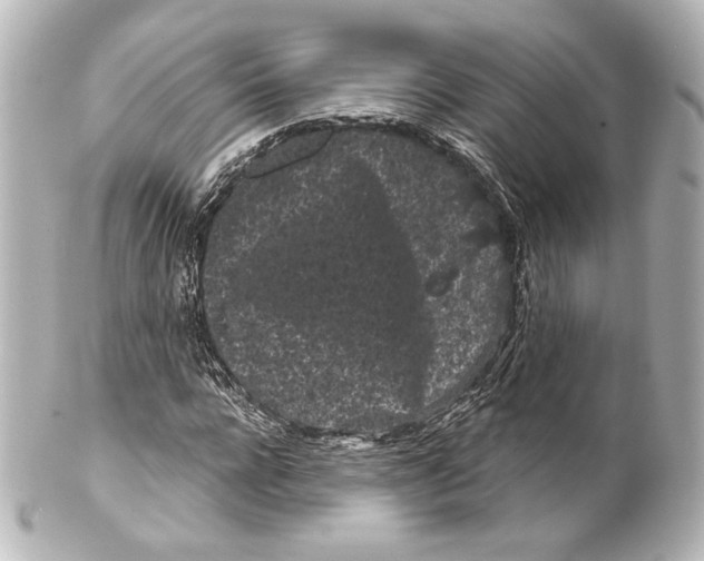 X0000100200920200806271638