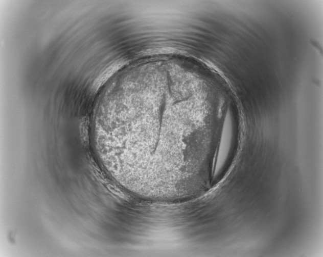 X0000100200921200806271638