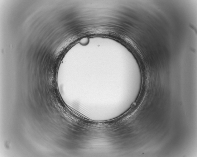 X0000100200922200806271638