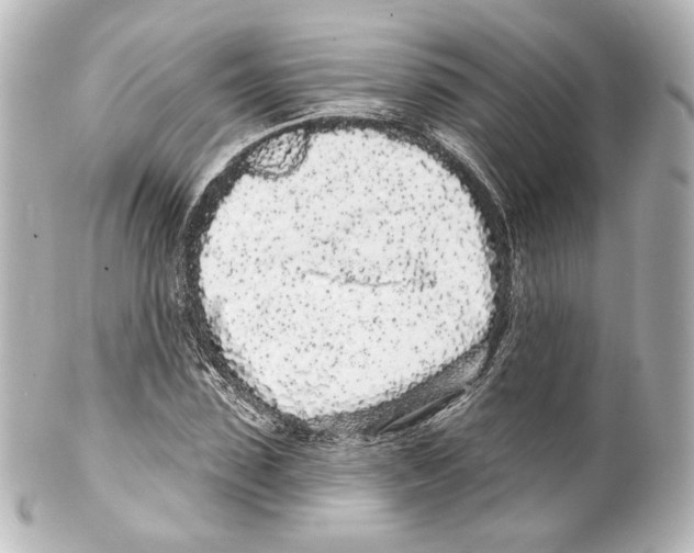 X0000100200923200806271638