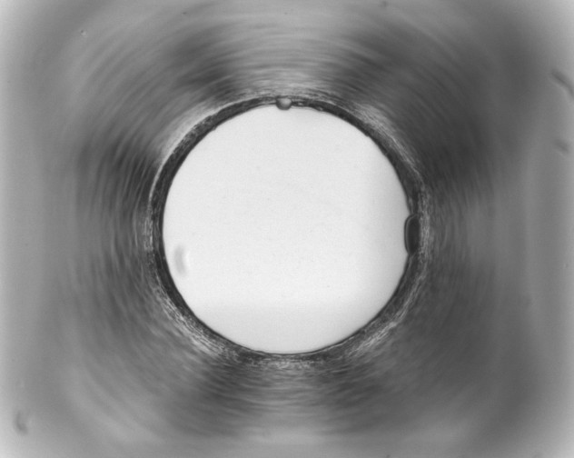 X0000100200924200806271638