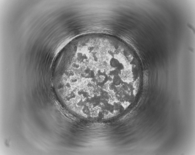 X0000100200925200806271638