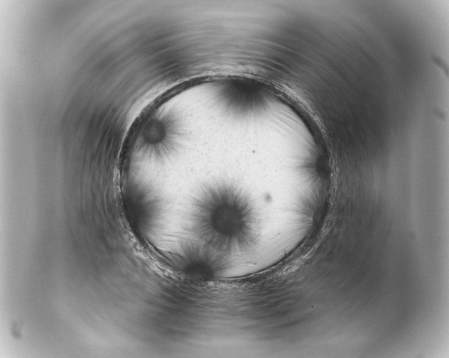 X0000100200928200806271638