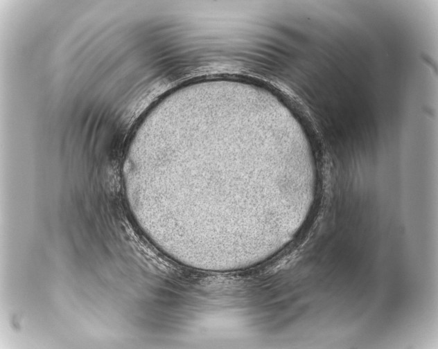 X0000100200929200806271638