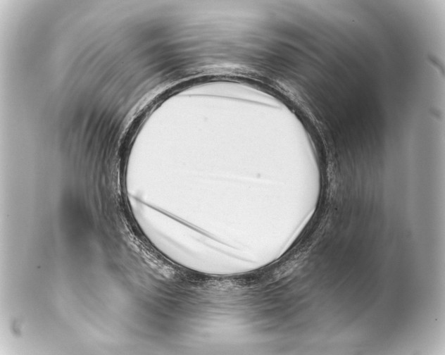 X0000100200931200806271638