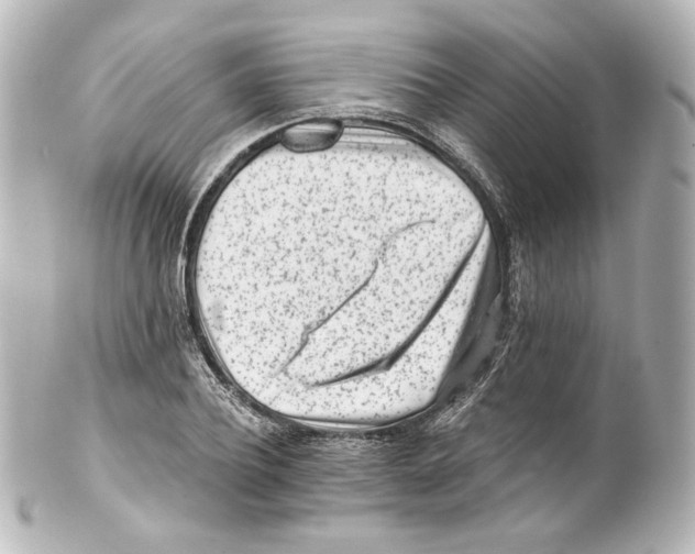 X0000100200932200806271638