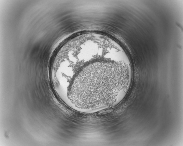 X0000100200935200806271638