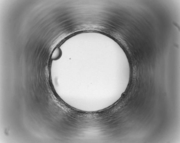 X0000100200936200806271638