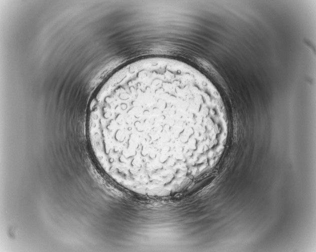 X0000100200938200806271638