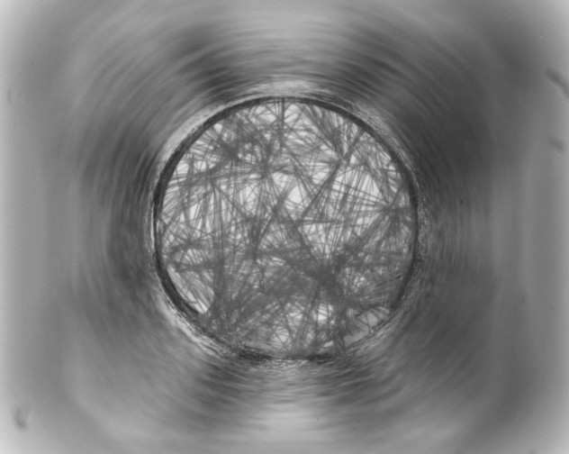 X0000100200939200806271638