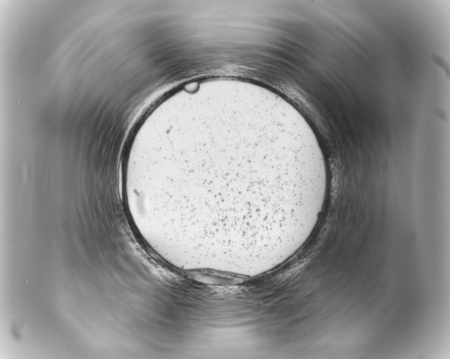 X0000100200940200806271638