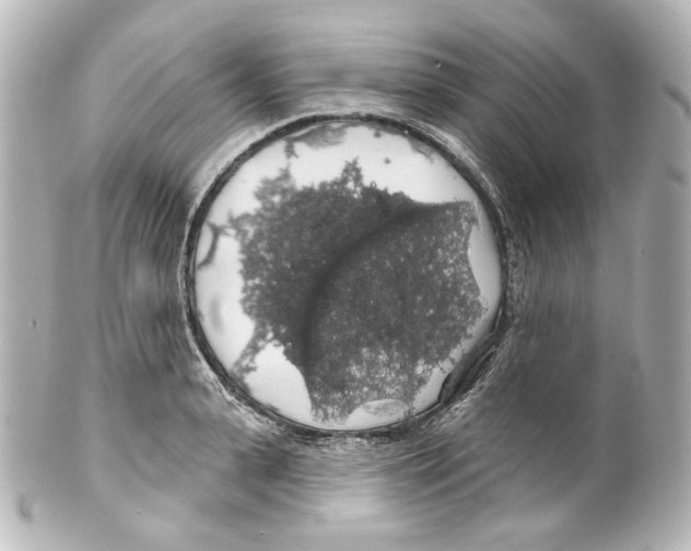 X0000100200943200806271638