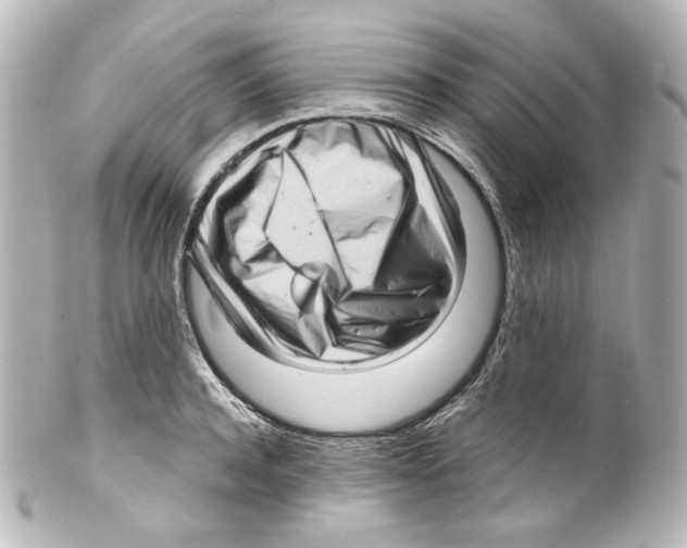 X0000100200944200806271638