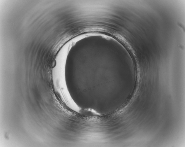 X0000100200945200806271638