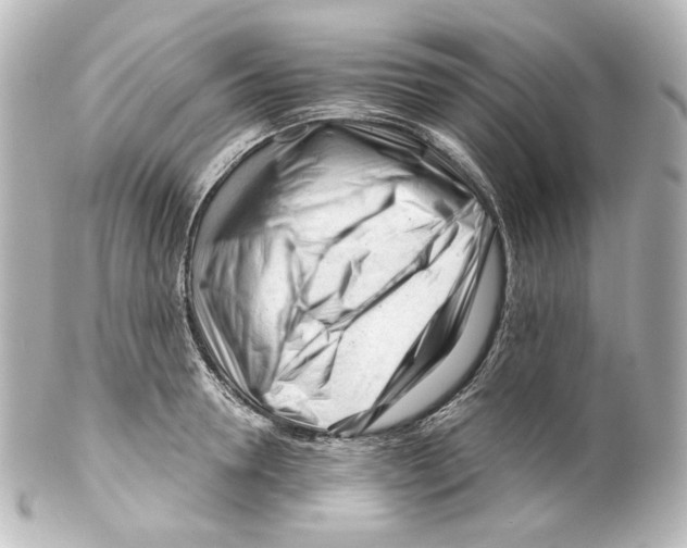 X0000100200946200806271638