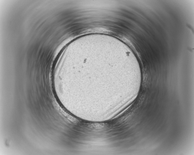 X0000100200947200806271638