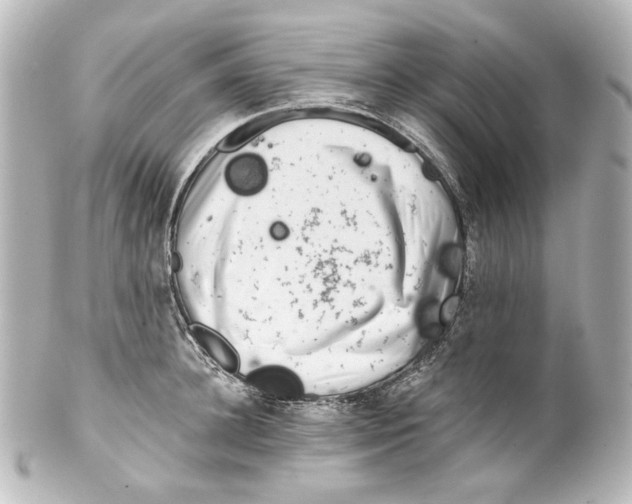 X0000100200948200806271638