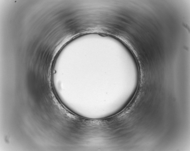 X0000100200949200806271639