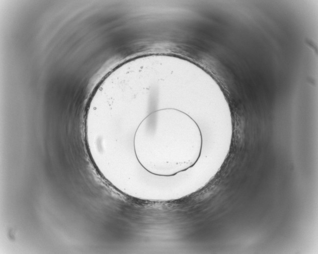 X0000100200950200806271639