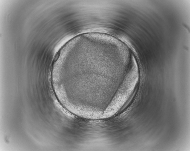 X0000100200952200806271639