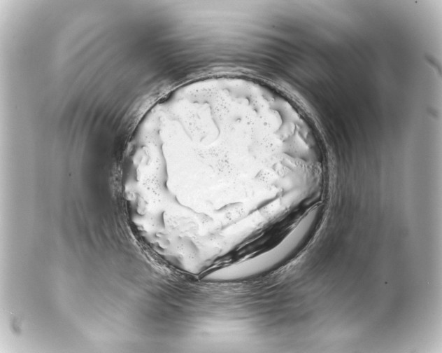 X0000100200953200806271639