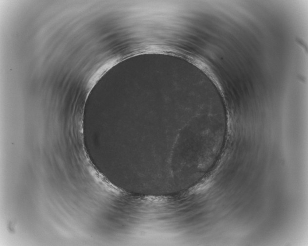 X0000100200954200806271639