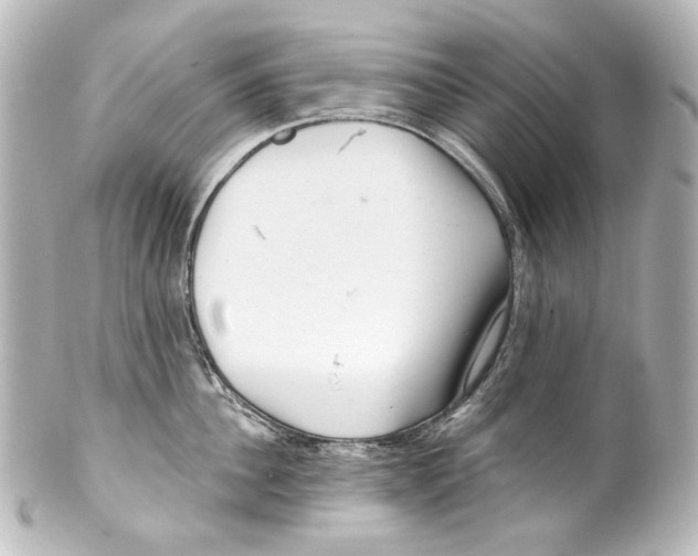 X0000100200956200806271639