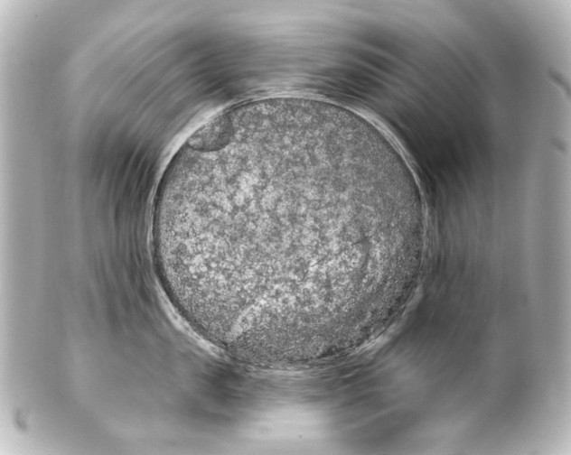 X0000100200957200806271639