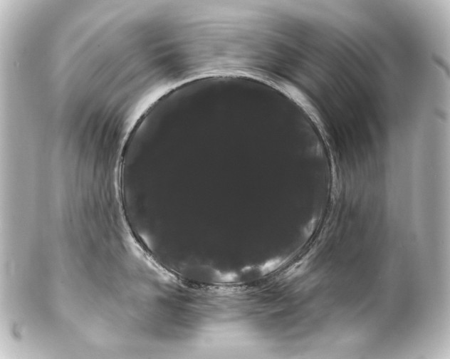 X0000100200958200806271639