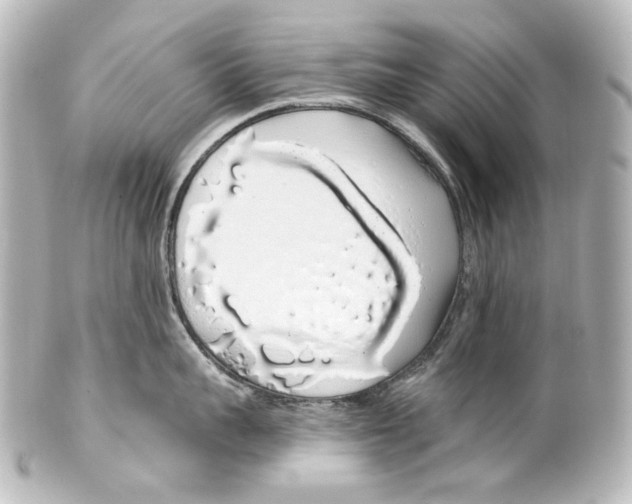 X0000100200959200806271639