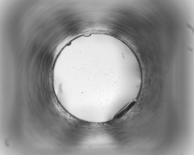 X0000100200960200806271639