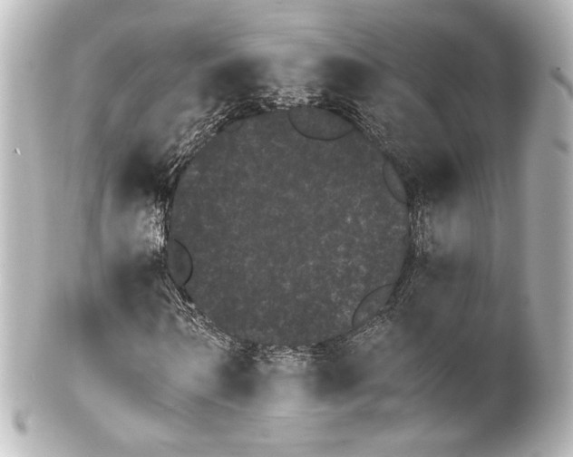 X0000100200962200806271638