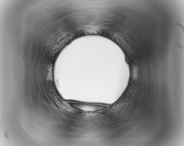 X0000100200964200806271638