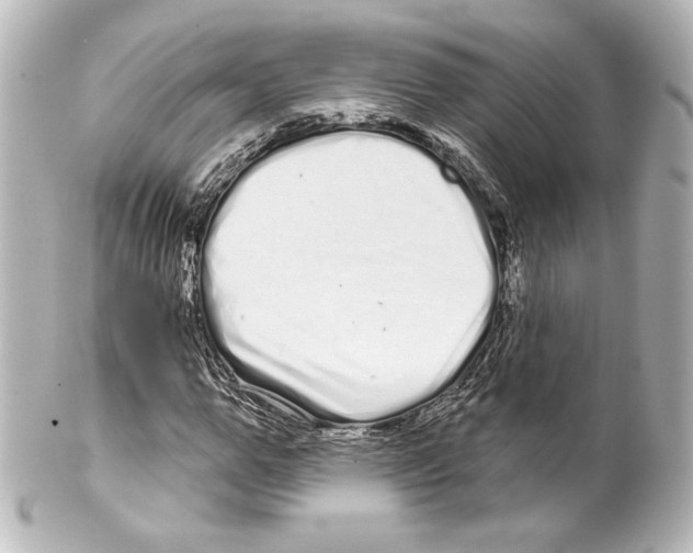 X0000100200967200806271638