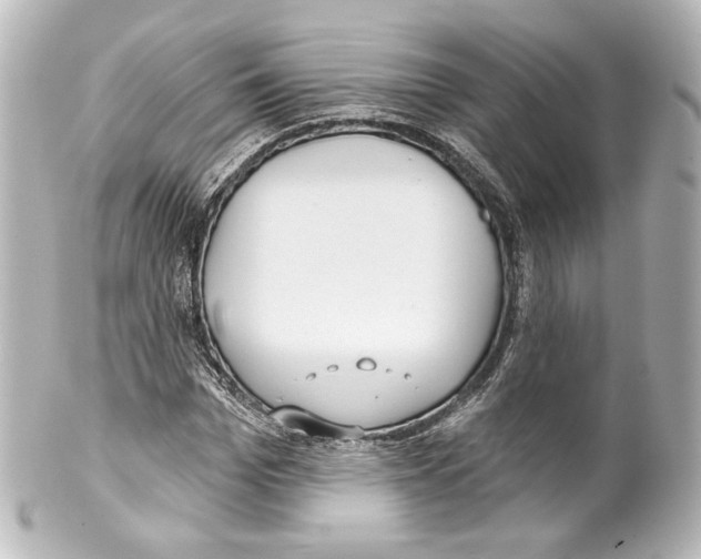 X0000100200969200806271638