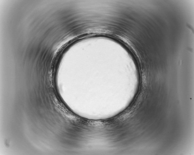 X0000100200971200806271638