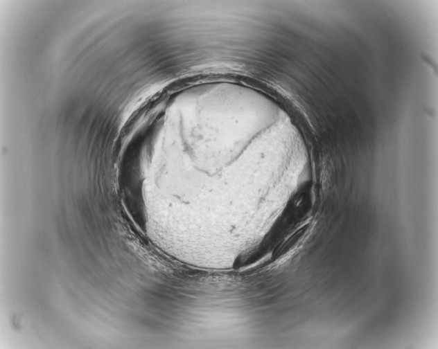 X0000100200973200806271638