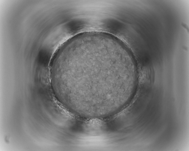 X0000100200974200806271638