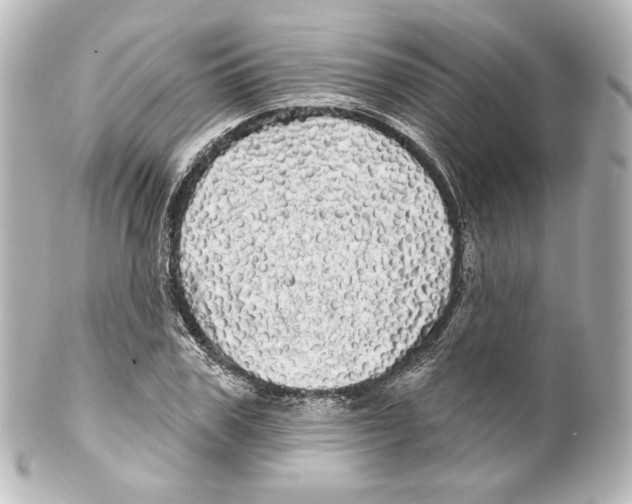 X0000100200979200806271638