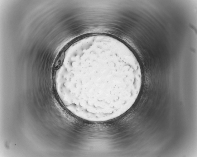 X0000100200980200806271638