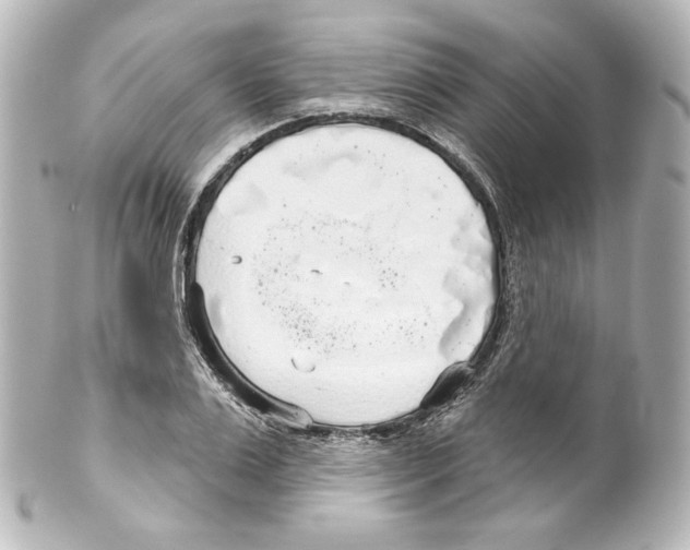 X0000100200983200806271638