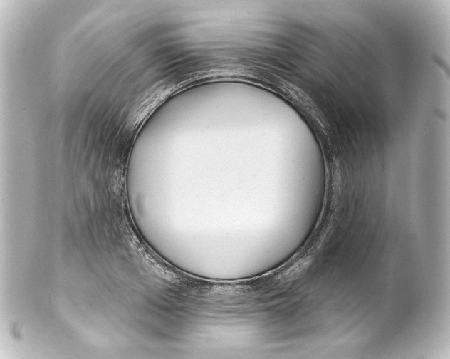 X0000100200985200806271638