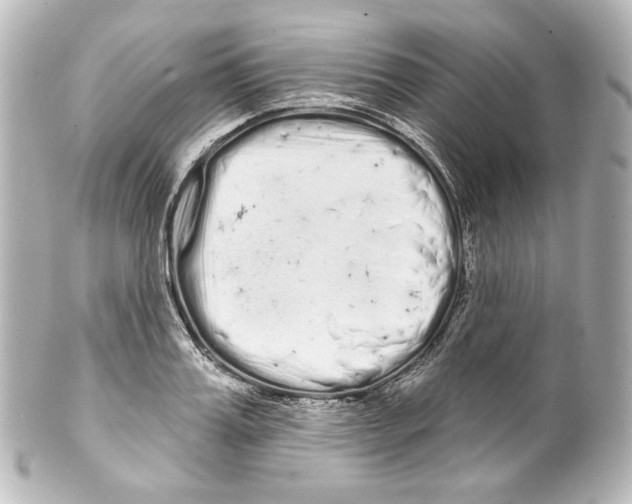 X0000100200987200806271638