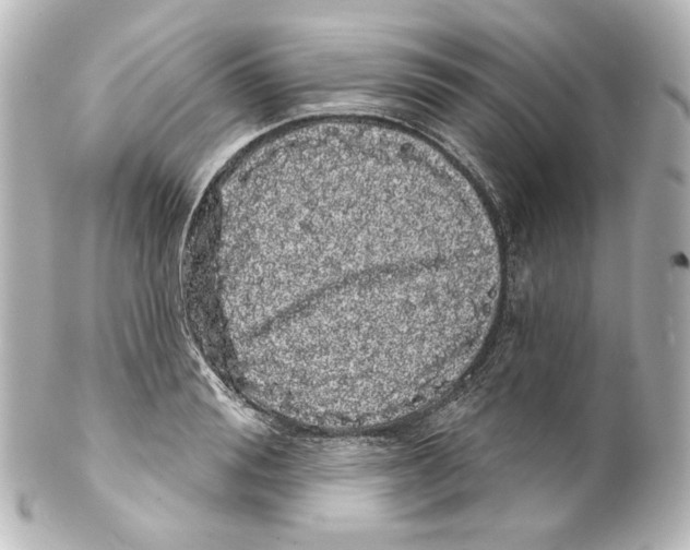 X0000100200988200806271638